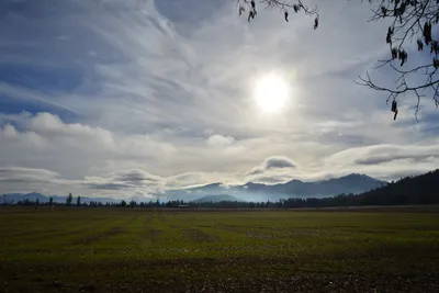 DSC_5834 (Large).JPG